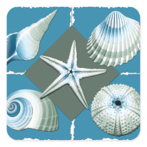 Blue & Green Sea Shells