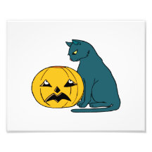 blue grey cat looking at pumpkin photo art