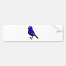 Blue Grosbeak Bumper Sticker