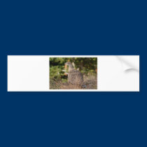 Blue Grouse bumper stickers