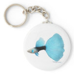 Blue Half Black Guppy keychains