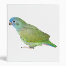 Blue Head Pionus Parrot 3 Ring Binders