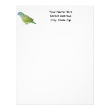 Blue Head Pionus Parrot Custom Letterhead