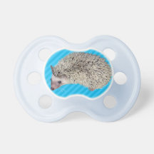 Blue Hedgehog Pacifier