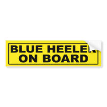 Blue Heeler on Board