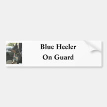 Blue Heeler On Guard Bumper Stickers