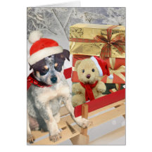 Blue Heeler winter Scene cards
