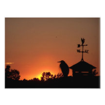 Blue Heron at Sunset II Photo Print