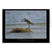 BLUE HERON EATING A FISH ~ Greeting Card