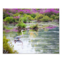 Blue Heron in the Swamp 8x10 print Photo Art