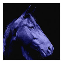 Blue Horse Design Invitation