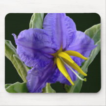 Blue horse nettle mouse pad