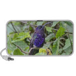 Blue Hummingbird Photo Notebook Speaker