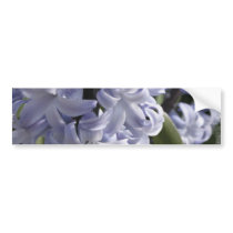 Blue Hyacinth Bumper Sticker