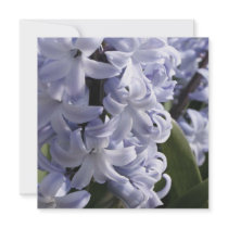Blue Hyacinth  Invitations