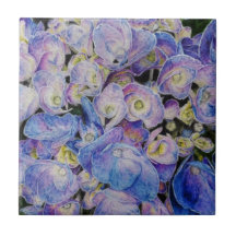 Blue Hydrangea Botanical Art Ceramic Tiles