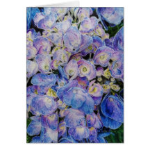 Blue Hydrangea Flower Greeting Cards