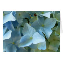Blue Hydrangea Flower II Greeting Note Card