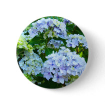 Blue Hydrangea Flowers button Hydrangeas Garden