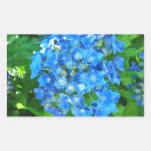 Blue hydrangea flowers. Floral photography. Rectangular Sticker