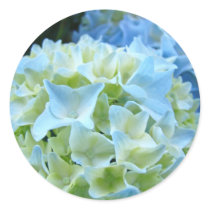 Blue Hydrangea Flowers stickers Summer Floral