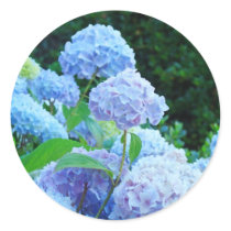 Blue Hydrangea Flowers stickers Summer Garden