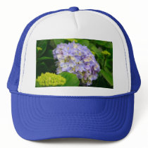 Blue Hydrangea Hats
