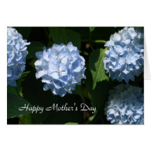 Blue Hydrangea Mother's Day Greeting Cards