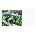 Blue Hydrangea on White Fence Custom Photo Card