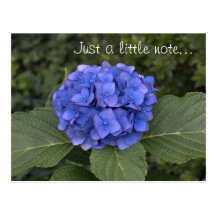 Blue Hydrangea Postcard - Just a little note