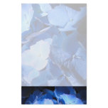 Blue Hydrangea - Stationery