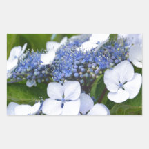 Blue Hydrangea Stickers