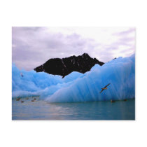 Blue ice berg postcard