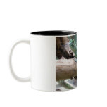 Blue Iguana mugs