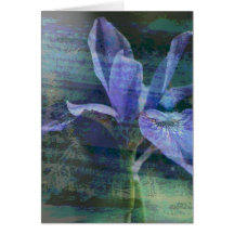 Blue Iris Greeting Cards