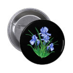 Blue Iris on black Pinback Buttons