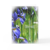 Blue Iris with Cross cards