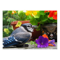 Blue Jay and Flowers ATC