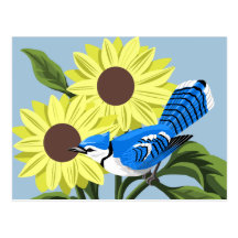 Blue Jay Art Postcards