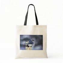 Blue jay bag