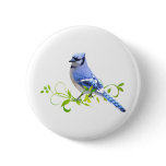Blue Jay Bird Pinback Button