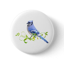 Blue Jay Bird Pinback Button