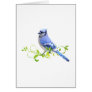 Blue Jay Bird Greeting Cards