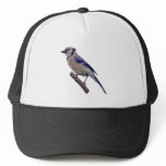 Blue Jay Bird Hat