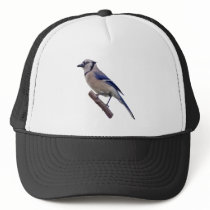 Blue Jay Bird Hat