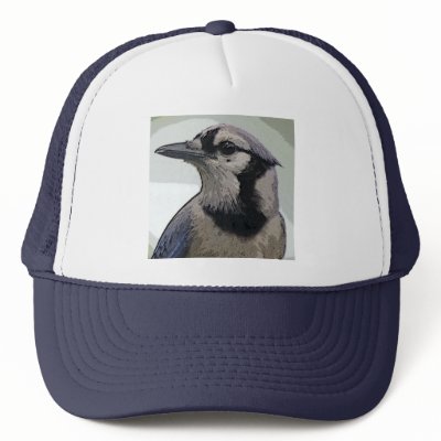 Blue Jay Bird Hats by kphotos