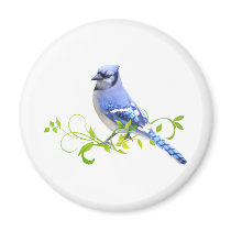 Blue Jay Bird Magnets