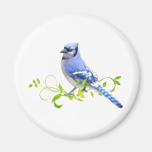 Blue Jay Bird Magnets