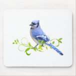 Blue Jay Bird Mouse Mats