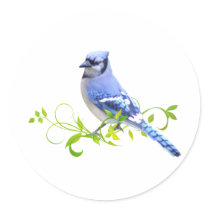 Blue Jay Bird Round Stickers